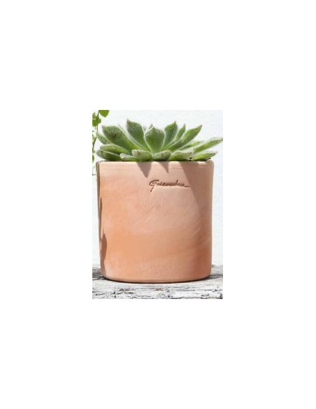 Maceta Pequeña Cilindro 8.5x9.5 cm  Compacta, Decorativa y Funcional | Endanea Garden