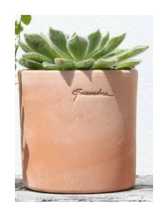 Maceta Pequeña Cilindro 13x13 cm  Compacta y Moderna para Plantas | Endanea Garden