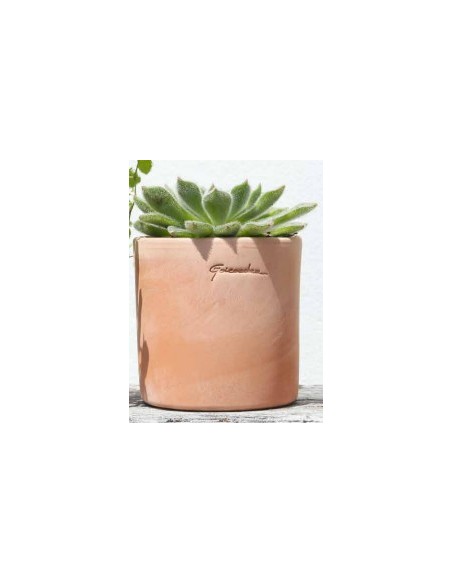 Maceta Pequeña Cilindro 13x13 cm  Compacta y Moderna para Plantas | Endanea Garden