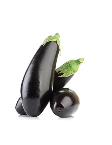 BERENJENA NEGRA LARGA PACK 1