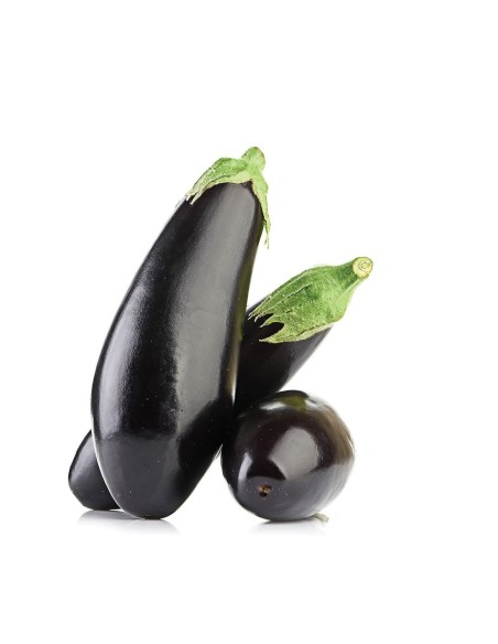 BERENJENA NEGRA LARGA PACK 1