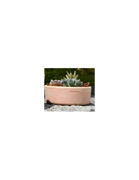 Copa Base 20x8 cm  Accesorio Decorativo Elegante y Versátil para Interior y Exterior