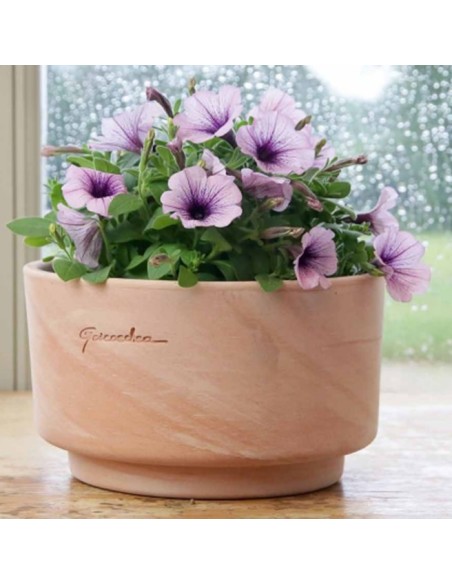 Terrina 18x11 cm | Maceta Versátil y Resistente para Interior y Exterior