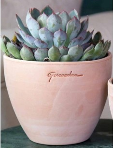 Maceta Galve Gamme Nive  Diseño Moderno y Alta Resistencia | Endanea Garden