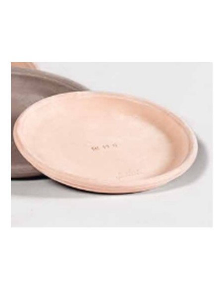 Plato 16 cm para Macetas  Protección y Funcionalidad para tus Plantas | Endanea Garden

