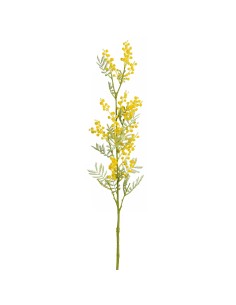 MIMOSA AMARILLA 79.5CM