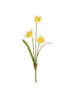 NARCISO AMARILLO 51CM
