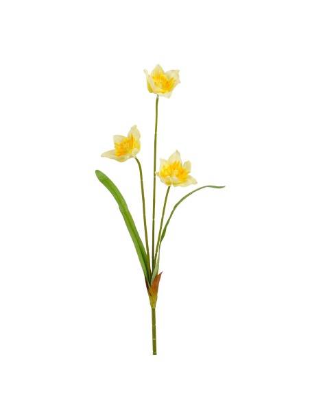 NARCISO AMARILLO 51CM