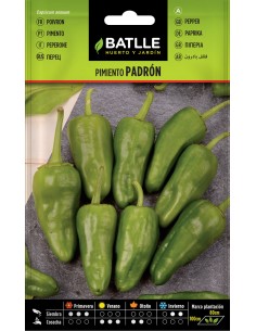 SEMILLA PIMIENTO PADRON
