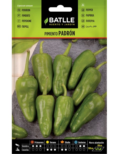 SEMILLA PIMIENTO PADRON