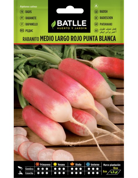 Semilla Rabanito Mediolargo Rojo Punta Blanca | Cultivo Fácil y Saludable