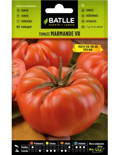 SEMILLA TOMATE MARMANDE HOLANDA
