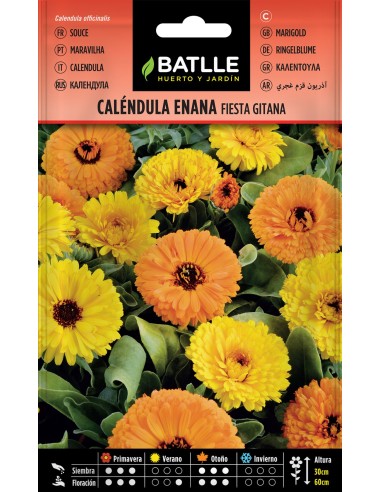 SEMILLA CALENDULA FIESTA GITANA BATLLE