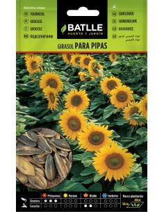SEMILLA GIRASOL PARA PIPAS