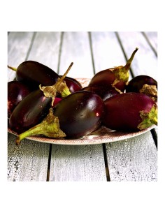 BERENGENA NEGRA HOBBY FRESH MAC PACK 1