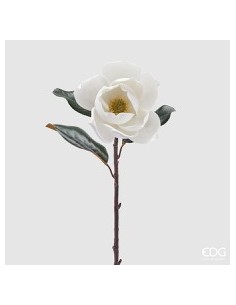 MAGNOLIA SUPREME BLANCO