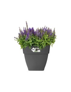 Maceta Vibia Campana Cuadrada 30 cm Antracita | Elegante y Moderna para Interior y Exterior | Endanea Garden 2