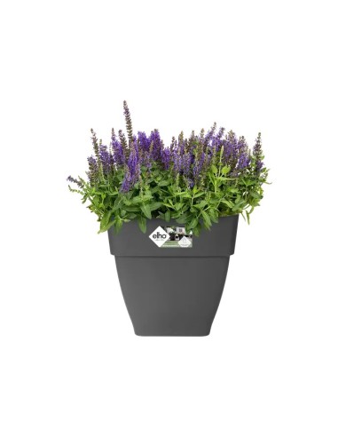 Maceta Vibia Campana Cuadrada 30 cm Antracita | Elegante y Moderna para Interior y Exterior | Endanea Garden