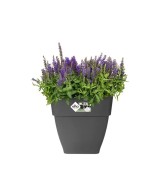 Maceta Vibia Campana Cuadrada 30 cm Antracita | Elegante y Moderna para Interior y Exterior | Endanea Garden

