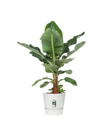 MACETA GREENVILLE REDONDA 40CM  BLANCO