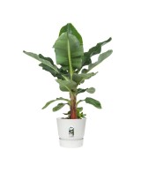 MACETA GREENVILLE REDONDA 40CM  BLANCO