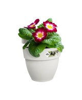 Maceta Vibia Campana Easy Hanger S Blanco Sedosa Colgante Comprar