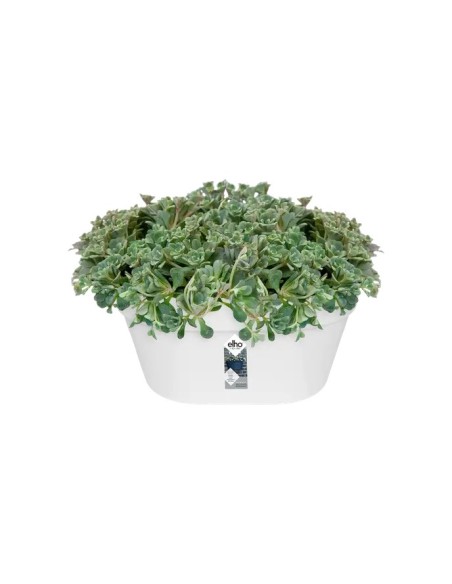 Maceta Loft Basket 40cm Blanco  Diseño moderno y funcional para plantas medianas y grandes