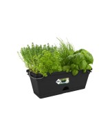 Jardinera G.B. Allin Mini 30cm Negra - Ideal para Espacios Pequeños y Plantas de Interior | Endanea Garden
