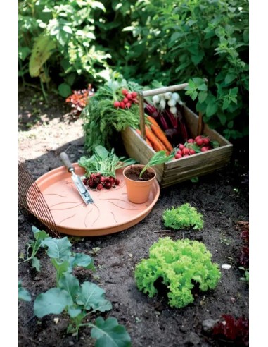 Plato GB 53CM Terra para Macetas Grandes | Resistente y Práctico | Endanea Garden