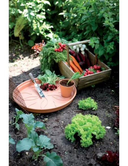 Plato GB 53CM Terra para Macetas Grandes | Resistente y Práctico | Endanea Garden