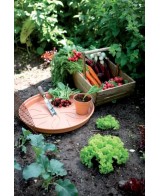 Plato GB 53CM Terra para Macetas Grandes | Resistente y Práctico | Endanea Garden


