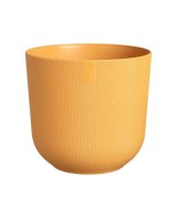 Maceta Jazz 26cm Amarillo  Diseño Vibrante y Funcional para Plantas | Endanea Garden