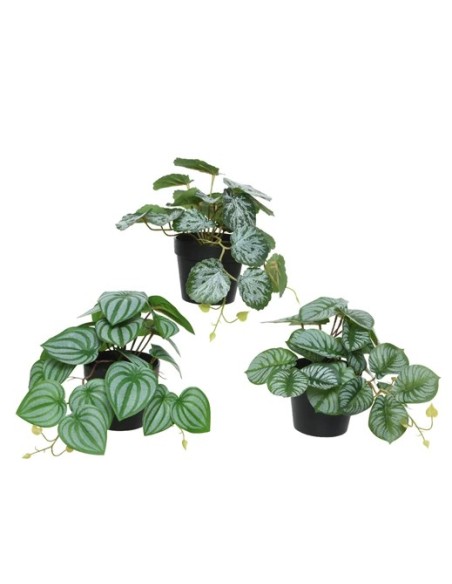 PLANTA MACETA 18X18X17CM VERDE