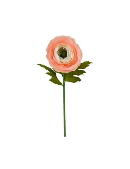 RANUNCULUS MELOCOTON L35XW35XH125CM