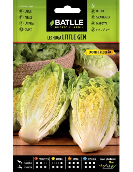 SEMILLA LECHUGA LITTLE GEM-COGOLLO