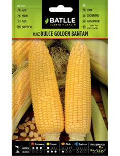 SEMILLA MAIZ DULCE GOLDEN BATTLE