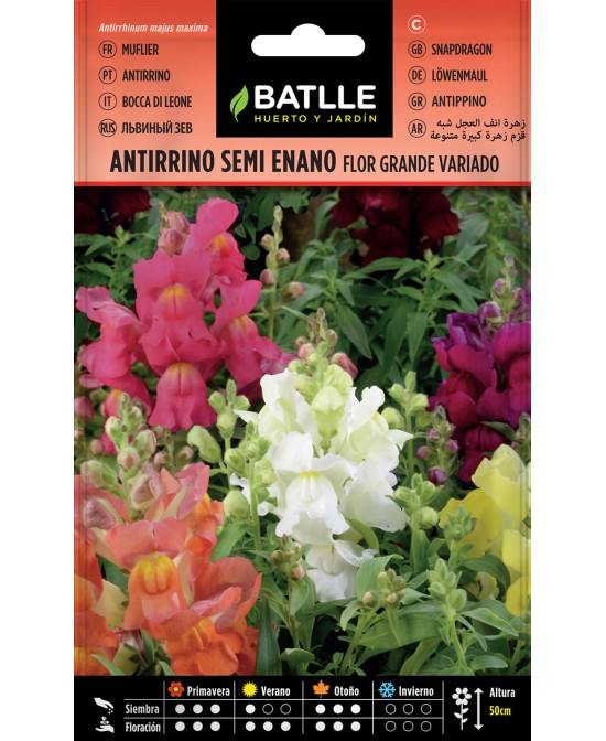 SEMILLA ANTIRRINO ENANO TAPIZ BATLLE