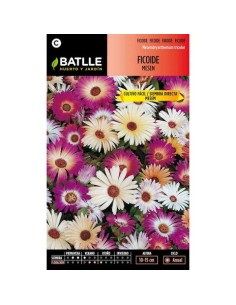 SEMILLA FICOIDE  MESSEN