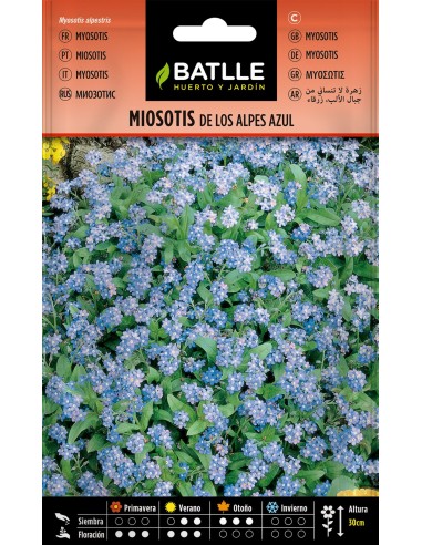 SEMILLA MIOSOTIS ALPES AZUL BATLLE
