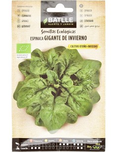 SEMILLA ECO ESPINACA GIGANTE INVIERNO