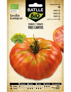 SEMILLA ECO TOMATE 3 CANTOS GIGANTE ROSA BATTLE