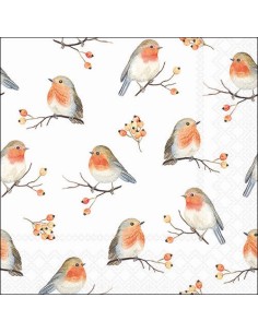 SERVILLETA 33 FAMILIA ROBIN FSC MIX