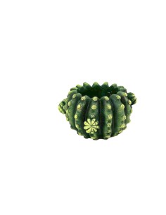 MACETERO CACTUS ANCHO  M