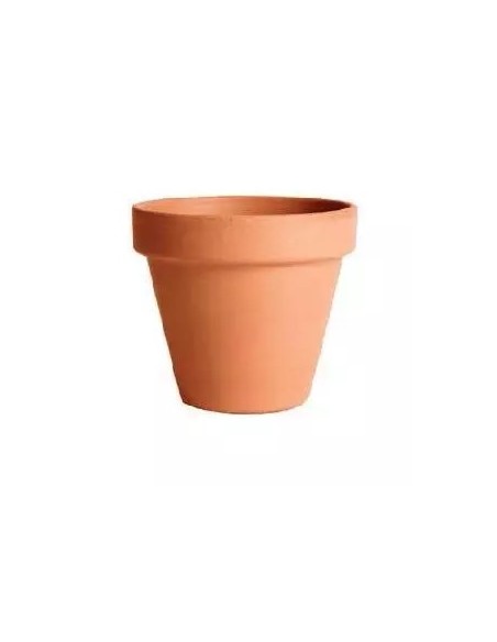 Maceta de Terracota 11CM  Diseño Clásico y Natural para Interior y Exterior | Endanea Garden