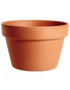 Minimaceta de Terracota 31CM  Clásica y Resistente para Plantas Grandes | Endanea Garden