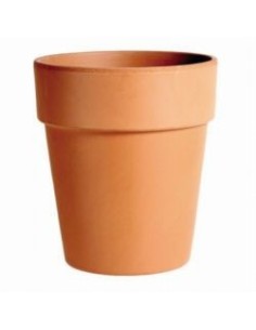 Maceta Alta de Terracota 40 cm | Elegancia y Durabilidad para Plantas