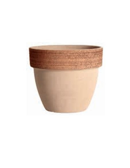 Maceta Cocio Paladio Graffiata 40CM | Terracota Resistente y Elegante - Endanea Garden