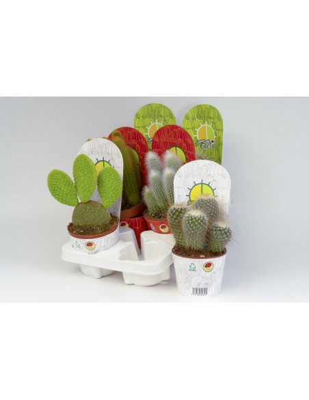 CACTACEA CACTUS POT COVER 12