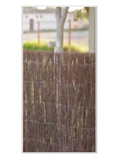 Brezo Nacional 1.5x3m para Jardín  Pantalla Natural y Privacidad Exterior

