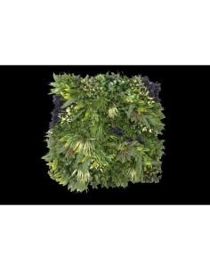 JARDIN VERTICAL BORA BORA 100X100CM